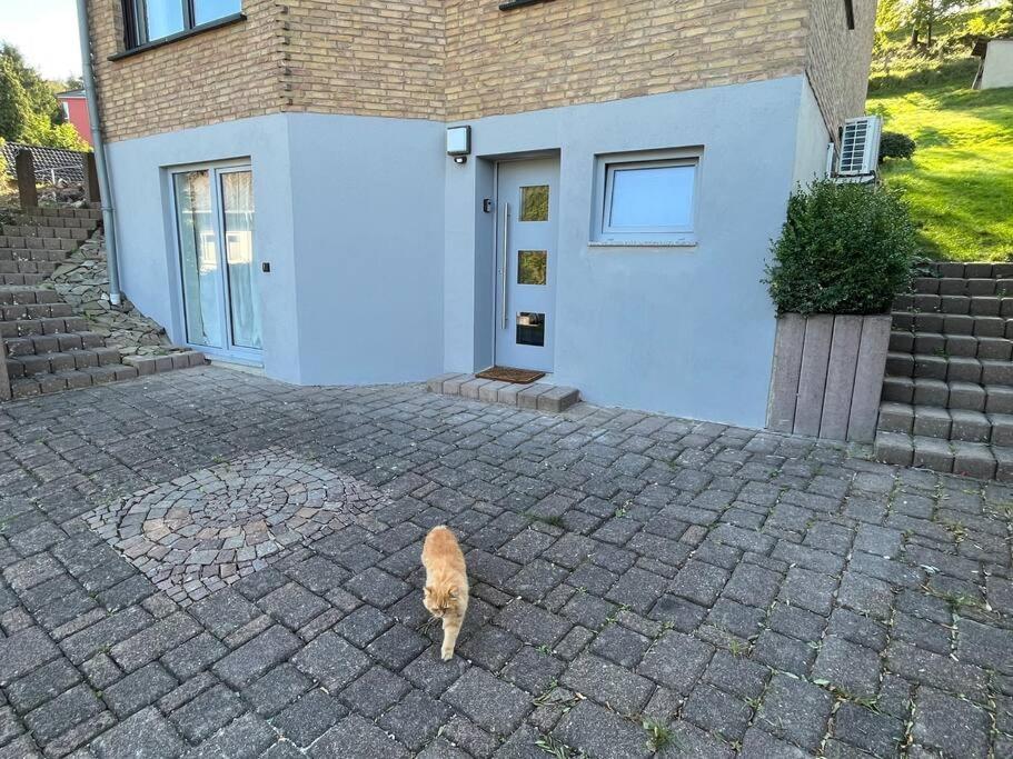 Willa Gemuetliches Feriendomizil*Eifel* Bad Muenstereifel Zewnętrze zdjęcie